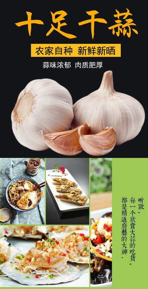 山东优质大蒜 从新鲜到干蒜，一站式蔬菜批发优选