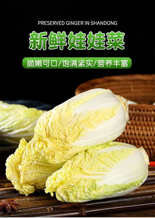 探秘精品黄心娃娃菜 冬季健康首选的美味密码