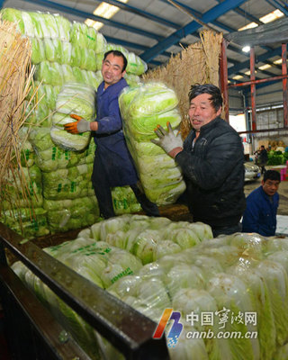宁波蔬菜批发市场货足价稳 新鲜蔬菜批发井然有序